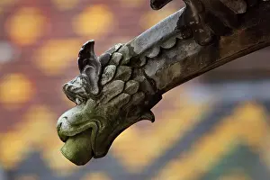Beaune: Gargoyle, Hospices de Beaune, Beaune, Burgundy, France