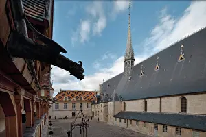 Rolin: Gargoyle, Hospices de Beaune, Beaune, Burgundy, France