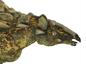 Morrison: Gargoyleosaurus armored dinosaur portrait