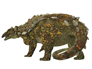 Morrison: Gargoyleosaurus dinosaur on white background