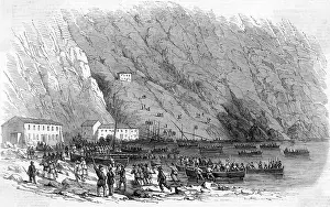 Garibaldis: GARIBALDI LANDS/CALABRIA