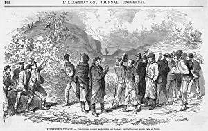 Garibaldis: GARIBALDI VOLUNTEERS 2