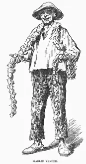 Garlic: GARLIC VENDOR SPAIN 1882