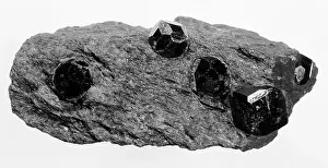 Nesosilicate: Garnetiferous schist