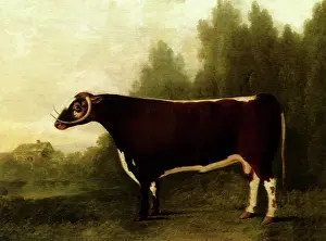 Boultbee: Garrick
