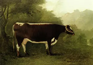 Boultbee: Garrick's Sister