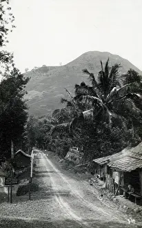 Javan: Garut, Java, Indonesia