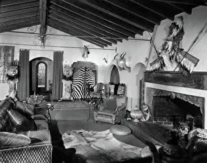 Taxidermy: Gary Cooper - Home - Hollywood - Animals