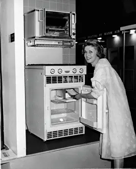 Fridge: The Gas Cooker/Gas Fridge on Display