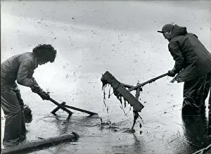 Polluted: Gas - Oil
