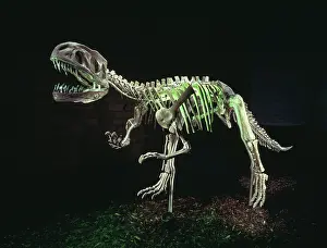 Bipedal: Gasosaurus