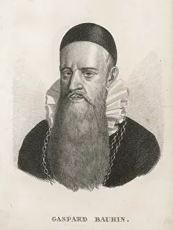 Gaspard: GASPARD BAUHIN