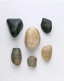 Digestion: Gastroliths, stomach stones