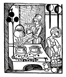 Spits: gastronomy, kitchen, cook and maid during work