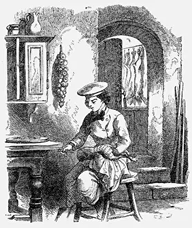 Cookbook: gastronomy, kitchen, preparing a rabbit, strip