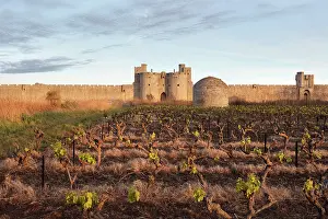 Postern: Gate of the Queen in Aigues-Mortes, Languedoc-Roussillon