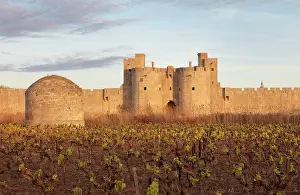 Postern: Gate of the Queen in Aigues-Mortes, Languedoc-Roussillon