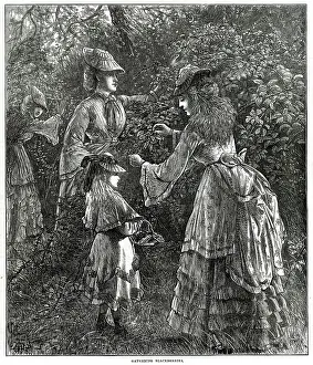 Blackberries: Gathering blackberries 1872