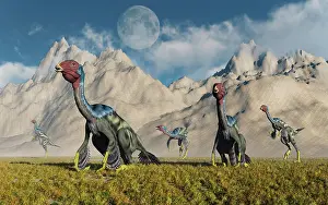 Alertness: A gathering of Caudipteryx feathered dinosaurs