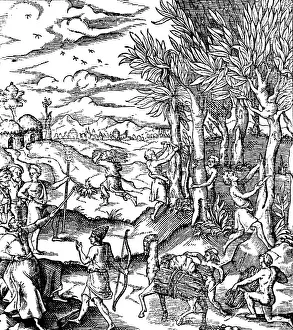 Prosperity: Gathering Cinnamon Bark In India, 1579
