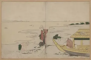 Clams: Gathering clams