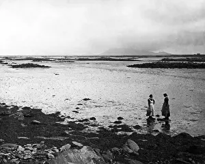 Cockles: Gathering cockles, Benbecula, Scotland