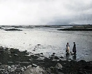 Cockles: Gathering cockles, Benbecula, Scotland
