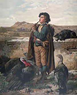 Fowls: Gathering the flock