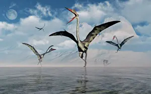 Pterosaur: A gathering of large Quetzalcoatlus pterosaurs