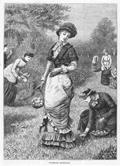 Genteel: Gathering Mushrooms 1886