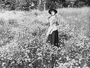 Graystone: Gathering wild flowers, 1890s