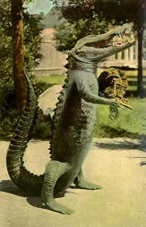 Alligator: Gator Walks Down Street