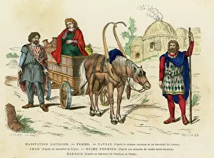Gaulish Wagon