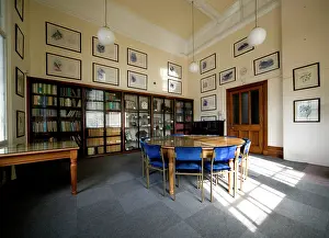 Gavin: The Gavin De Beer room