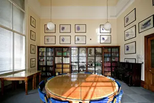 Gavin: The Gavin De Beer room