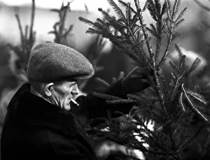Meagre: GDR - Christmas Tree Sale