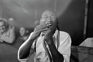 Geek: Geek biting the head of a snake at a sideshow