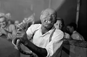 Geek: Geek biting off the head of a snake at a sideshow