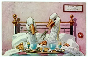 Cannibals: GEESE IN BED