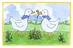 Mcewen: Two Geese, one with a daffodil in its beak