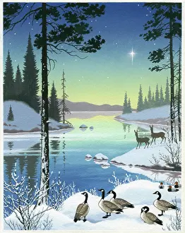 Asta: Geese and Deer by forest loch