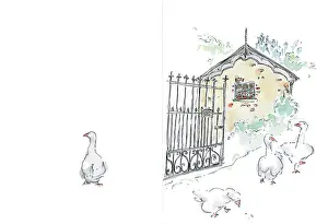 Bernice: Geese in gateway