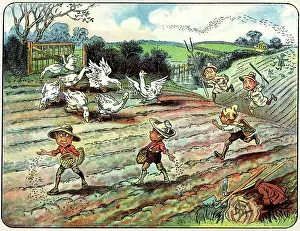 Scarecrow: Geese invade the field where the Brownies are sowing
