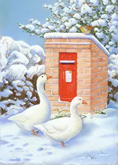Batchelor: Two Geese in the Snow