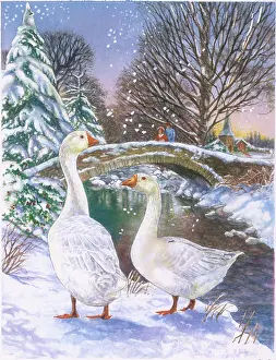 Gascoigne: Two geese on a snowy riverbank