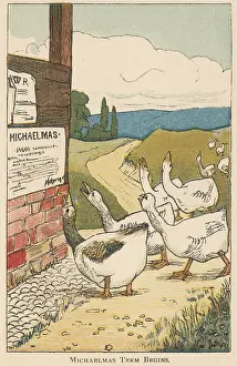 Michaelmas: Geese unhappy at the arrival of Michaelmas
