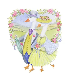 Elspeth: Two geese walking in countryside