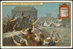 Gauls: GEESE WARN ROME OF GAULS