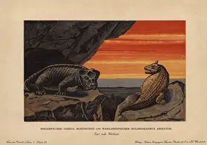 Armatus: Geikia elginensis, extinct synapsid, and Sclerosaurus