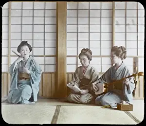 Shamisen: Geisha - Instruments - circa 1900